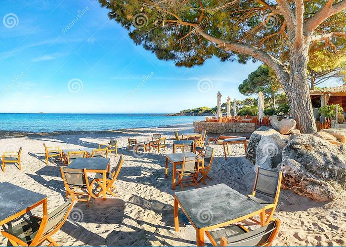 Palombaggia Beach Fabulous View of Palombaggia and Tamaricciu Beaches from Bar ... photo