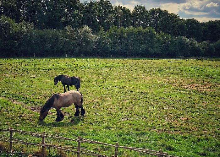 Europlanetarium Genk Visit Genk: 2024 Travel Guide for Genk, Flemish Region | Expedia photo