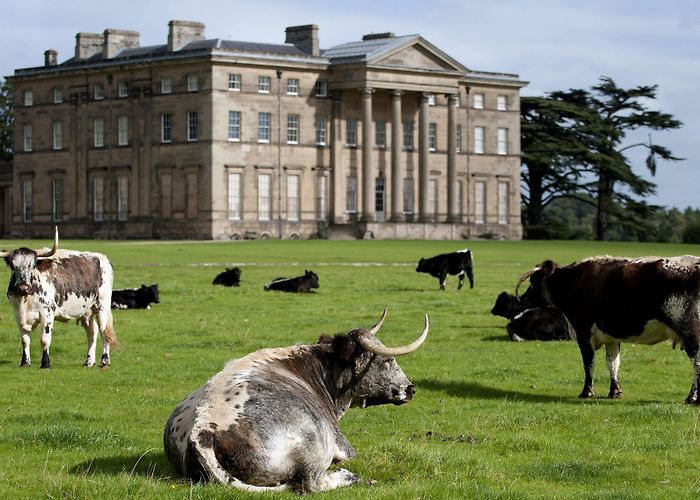 Attingham Park History of Attingham Town Walls Tower | National Trust photo