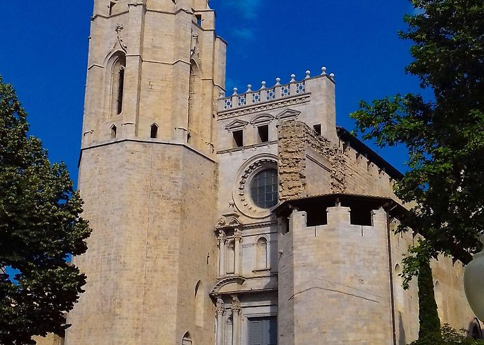 Parc de la Devesa Girona Cathedral, (Cathedral of Saint Mary of Girona). (1038 AD ... photo