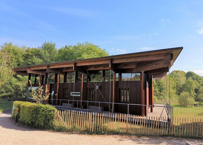 Bezoekerscentrum Tenellaplas Verandamarkt Bezoekerscentrum Tenellaplas | OP Voorne-Putten photo