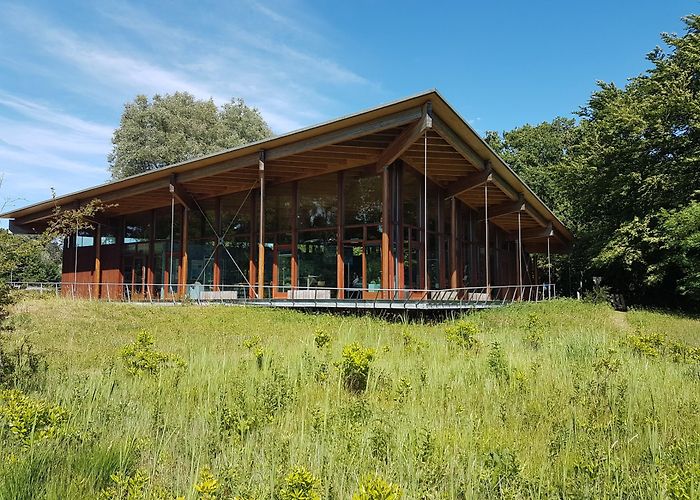 Bezoekerscentrum Tenellaplas Bezoekerscentrum Tenellaplas | OP Voorne-Putten photo