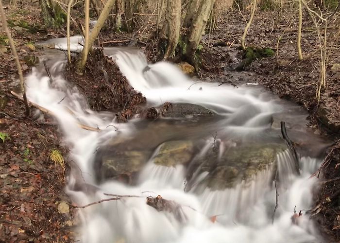 Großer Feldberg The best Jogging Trails in Glashuetten | Outdooractive photo