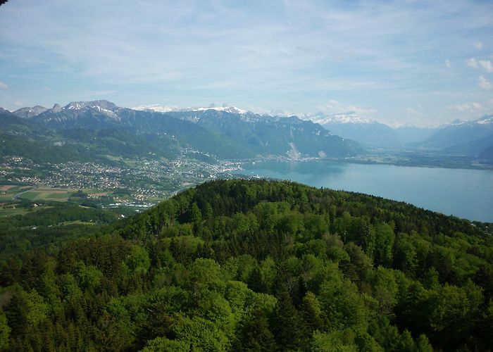 Mont Pèlerin Le Mont-Pèlerin | Switzerland Tourism photo