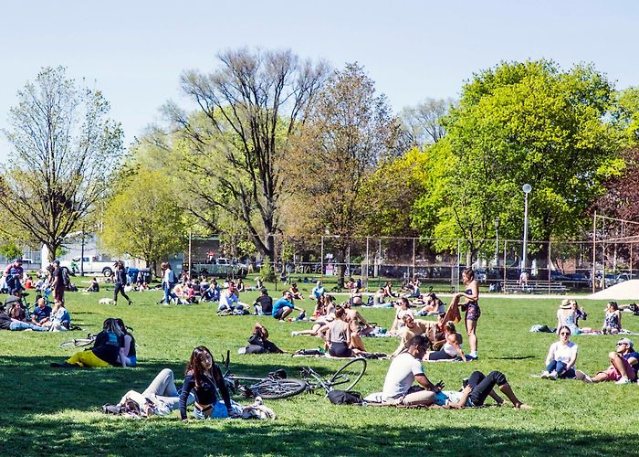 Trinity Bellwoods Park Trinity Bellwoods Park is bumping and people in Toronto are mad ... photo