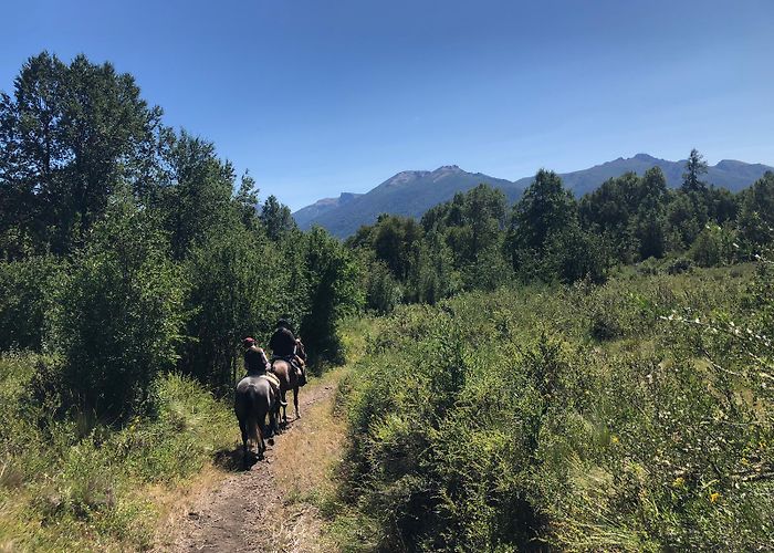 Estancia Huechahue A road trip in Argentina to remote Patagonian Lodges & Estancia ... photo