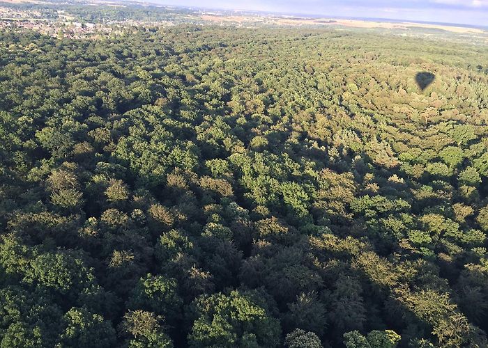 Forest of Fontainebleau The Forest - Fontainebleau Tourisme - Fontainebleau Tourisme photo