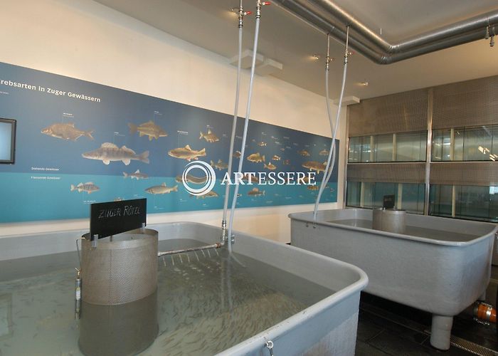 Fischerei-Museum Zug Fischereimuseum Zug, Switzerland photo