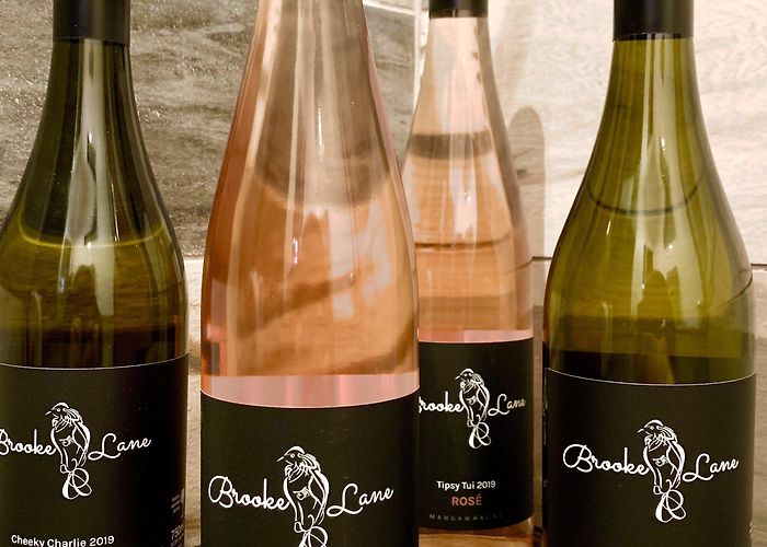 Lochiel Estate Brooke Lane Vineyard photo