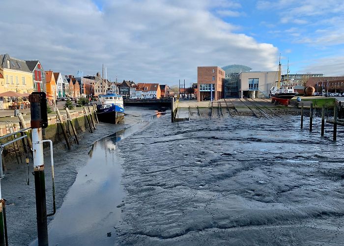 Husumer Bucht WWF Tour Husum: Harbor, Mudflats and Wide Views • Hiking route ... photo