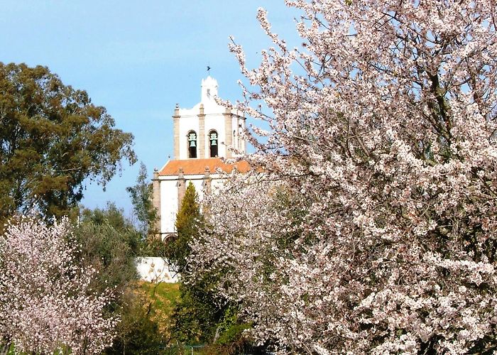 Aldeia da Terra - Sculpture Garden Arraiolos to Flor da Rosa | Portugal photo