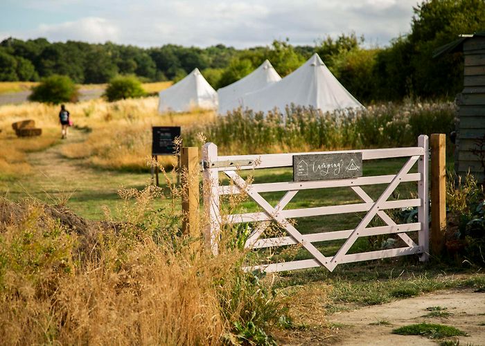 Chessington Castle Hill The Barn KT9 - Hipcamp in Greater London, England photo