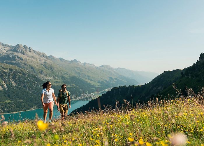 Furtschellas Via Gastronomica: Furtschellas – Val Fex – Sils Maria • Mountain ... photo