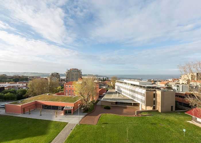 Universidade Catolica UCP: Católica debate impacto da pandemia nas eleições americanas ... photo