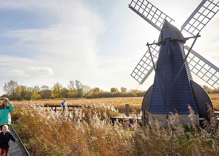 Wicken Fen National Nature Reserve Activities at Wicken Fen | Cambridgeshire | National Trust photo