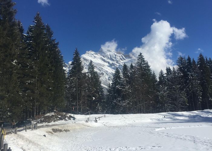 Lago Pianozes Ristorante Lago Pianozes di Alberti Massimo, Cortina d'Ampezzo ... photo