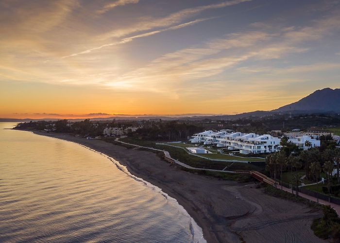 Palaeontology Museum of Estepona Estepona Guide | All you need to know photo