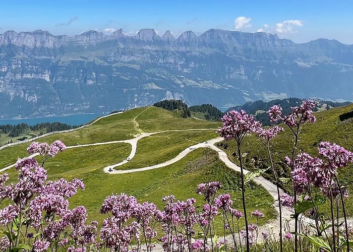 Maschgenkamm Hiking at Flumserberg – The Height Route (Maschgenkamm to Chrüz) + ... photo