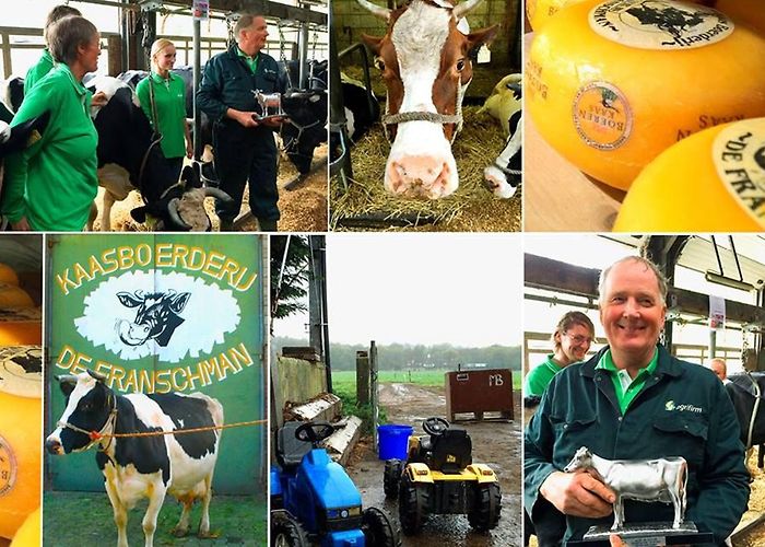 Kaasboerderij De Franschman Kaasboerderij de Franschman in Bergen - Go-Kids Alkmaar photo