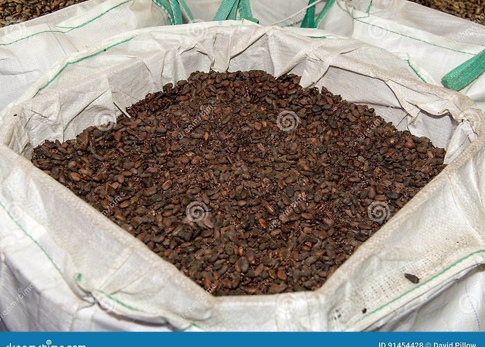 Maison Cailler Swiss Chocolate Factory Cocoa Beans Inside Maison Cailler Chocolate Factory Broc-Gruyere ... photo