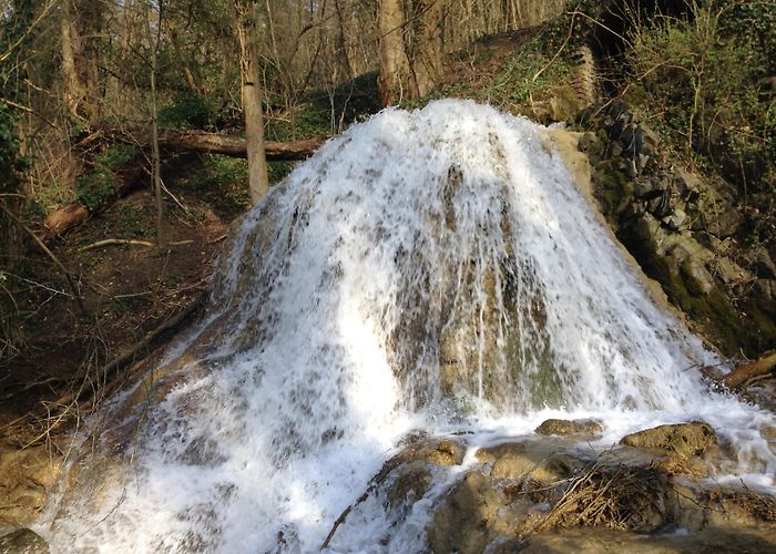 Neandertal Visit Mettmann: 2024 Travel Guide for Mettmann, North Rhine ... photo