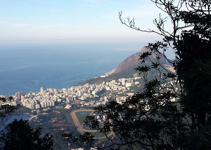 Federal University of Rio Grande do Sul Things to Do in Porto Alegre in 2024 | Expedia photo