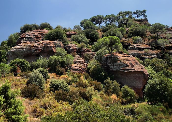 Museo Municipal VicenÇ Ros Martorell turismo: Qué visitar en Martorell, Barcelona, 2024 ... photo