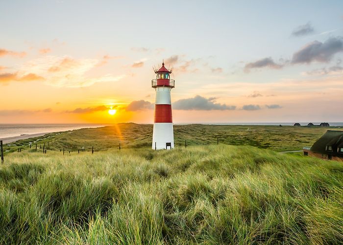 Rungholt museum Bahnsen Schleswig-Holstein Wadden Sea National Park Tours - Book Now | Expedia photo