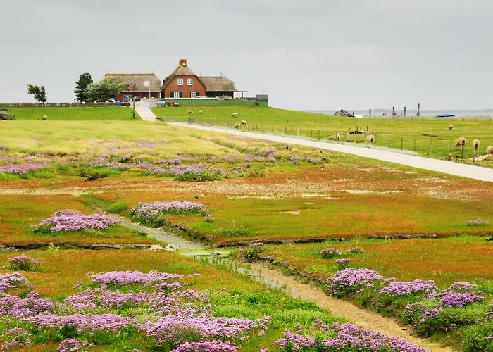 Rungholt museum Bahnsen Visit Pellworm: 2024 Travel Guide for Pellworm, Schleswig-Holstein ... photo