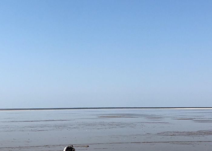 Rungholt museum Bahnsen Westerhever Lighthouse in Westerhever - Tours and Activities | Expedia photo