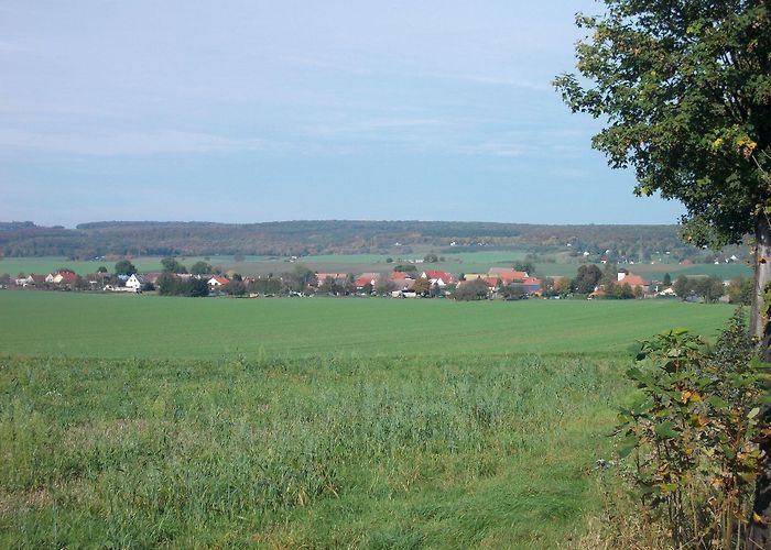 Herzoglicher Weinberg visitor vineyard Visit Freyburg: 2024 Travel Guide for Freyburg, Saxony-Anhalt ... photo