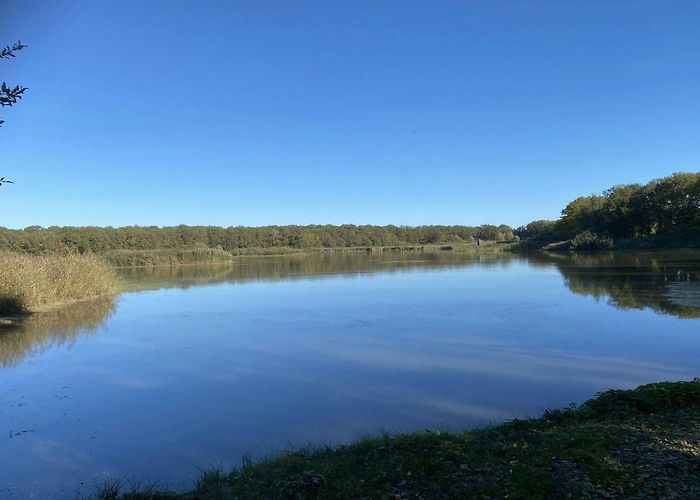 Lake Der-Chantecoq Étang du Grand Coulon and Lac du Der-Chantecoq - Hika Trail photo