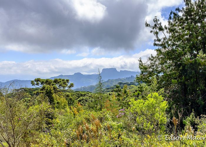 Claudio Santoro Auditorium Vacation Homes near Claudio Santoro Auditorium, Campos do Jordão ... photo