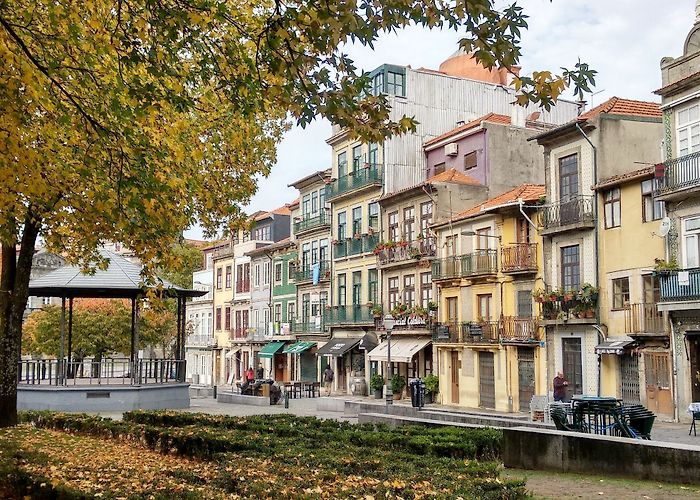 Matosinhos Market Sardine hunting in Matosinhos photo