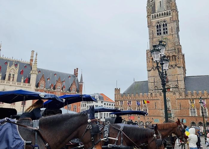 Sight-seeing Bruges in a Carriage No walk in the park … Horse drawn carriages in Bruges | The Bruges ... photo