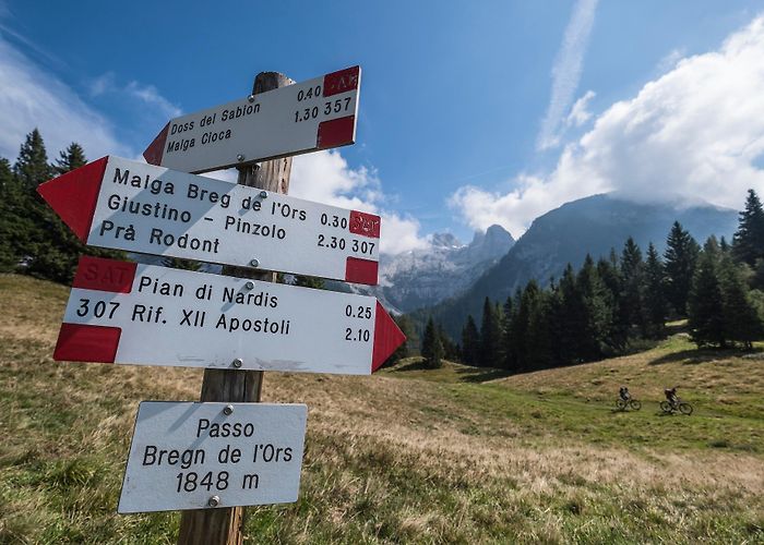 Doss del Sabion Doss del Sabion - Malga Movlina - Pra Rodont • Mountain Hike ... photo