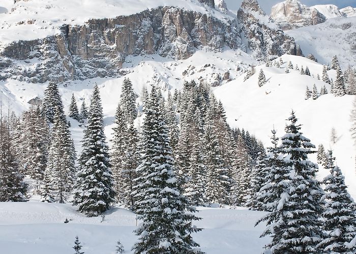 52 Comici II Visit Selva di Val Gardena: 2024 Travel Guide for Selva di Val ... photo