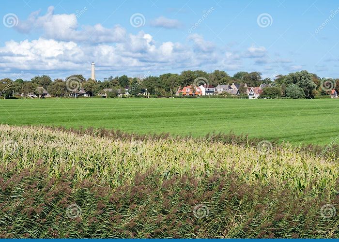 Watertower Banckspolder Stock Photos - Free & Royalty-Free Stock Photos from ... photo