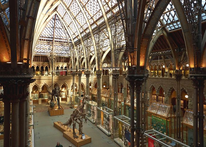 Museum of the History of Science Main Court | Oxford University Museum of Natural History photo