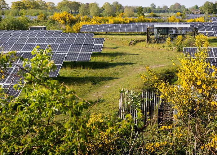 Engels' Tuin Energieboswachters gaan de natuur meer kans geven in zonne- en ... photo