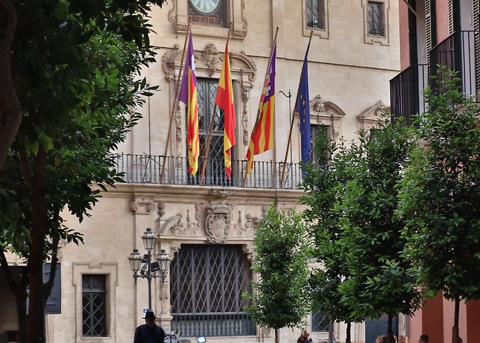 Palma Town Hall ITAP of a street with a horse and flags in Palma de Mallorca ... photo