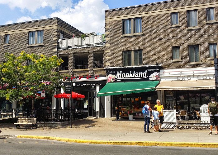 Monkland Avenue NDG Monkland real estate and neighborhood Information photo