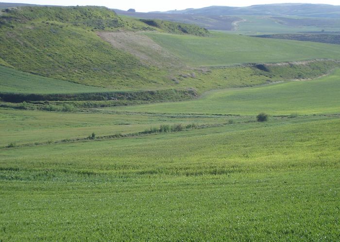 Yacimientos de Atapuerca Hotels in Tosantos: best places to stay in 2024 |Hotels.com photo