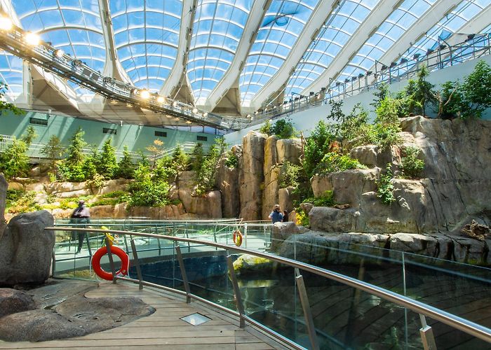 Montreal Biodome Montreal Biodome Tours - Book Now | Expedia photo