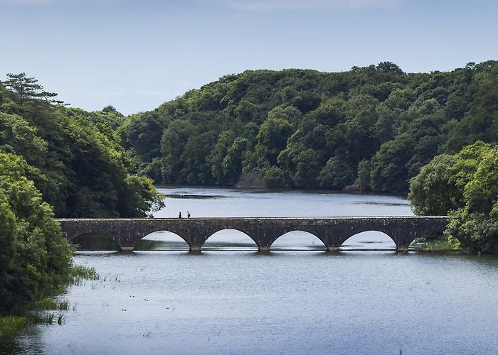 Stackpole Estate Stackpole | Pembrokeshire | Wales | National Trust photo