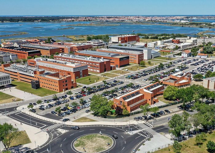 University of Aveiro Where to research? - Universidade de Aveiro photo