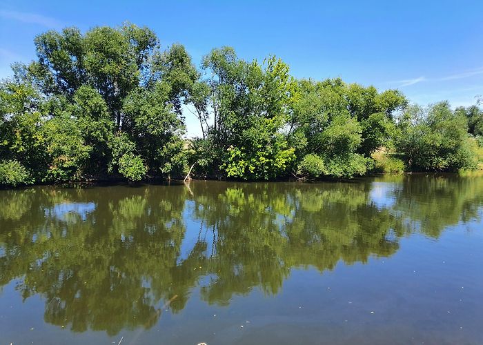 Heinrich-Schütz-Haus Pentecost Tour to Wandelkonzert Weißenfels | Bach by Bike photo