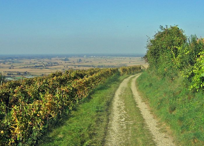 Naturschutzgebiet Taubergiessen Top Hotels in Endingen am Kaiserstuhl | Hotels.com photo