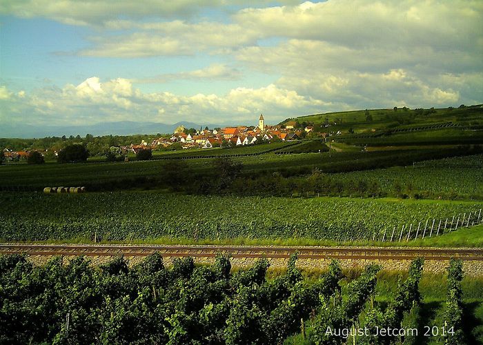 Naturschutzgebiet Taubergiessen The Best Hotels in Burkheim from Rp3.424.535 | Hotels.com photo