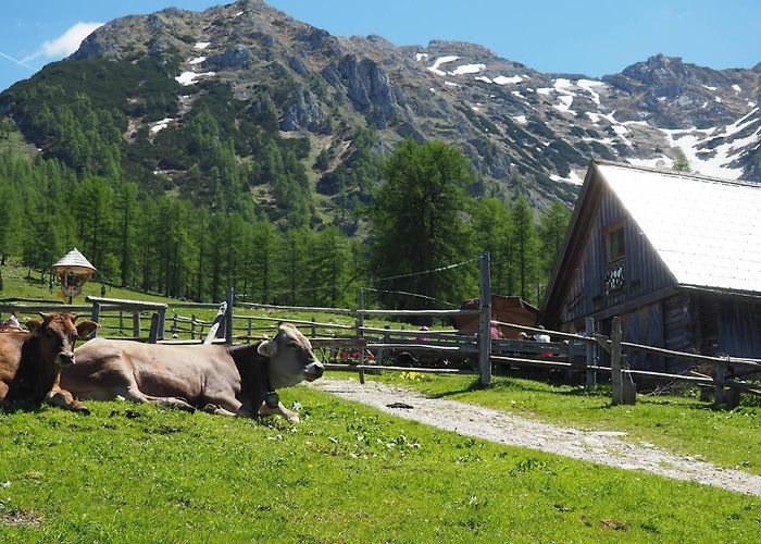Frauenkarlift Reiseführer Spital am Pyhrn: 2024 das Beste in Spital am Pyhrn ... photo